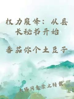 權(quán)力巔峰：從縣長秘書開始