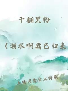 干翻黑粉