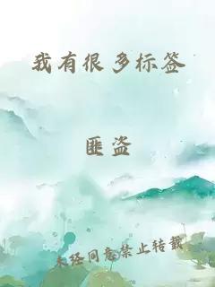 我有很多標(biāo)簽