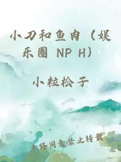 小刀和魚肉（娛樂(lè)圈 NP H）